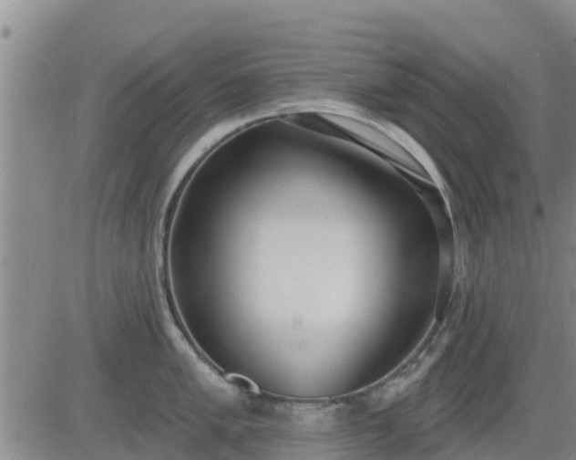 X0000083531005200702161908