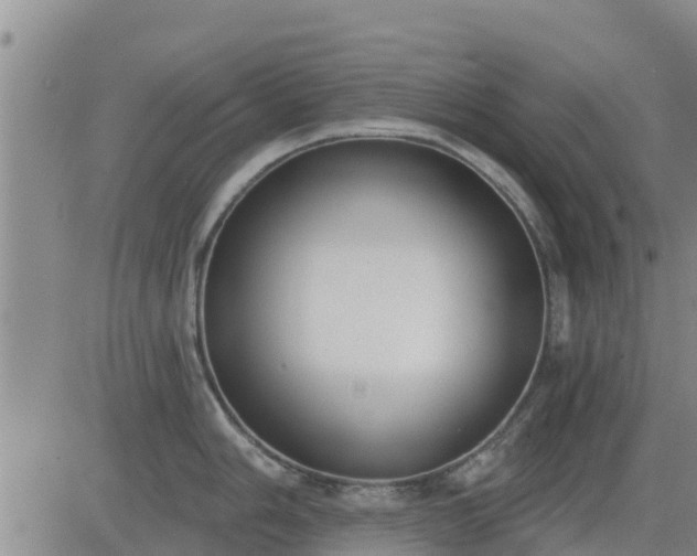 X0000083531006200702161907