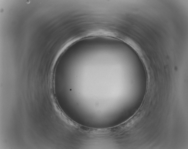 X0000083531008200702161907