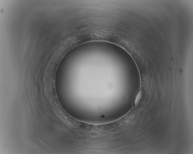 X0000083531009200702161907