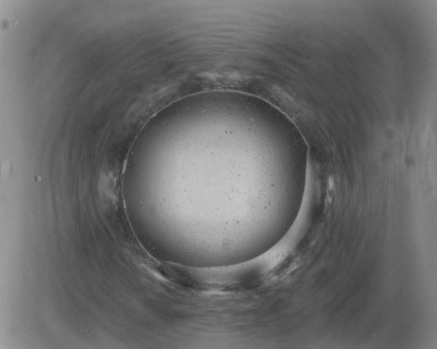 X0000083531010200702161907