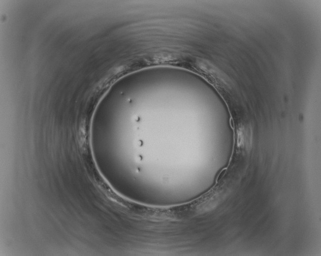 X0000083531011200702161907