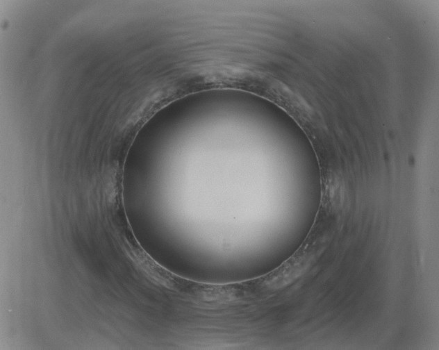 X0000083531012200702161907