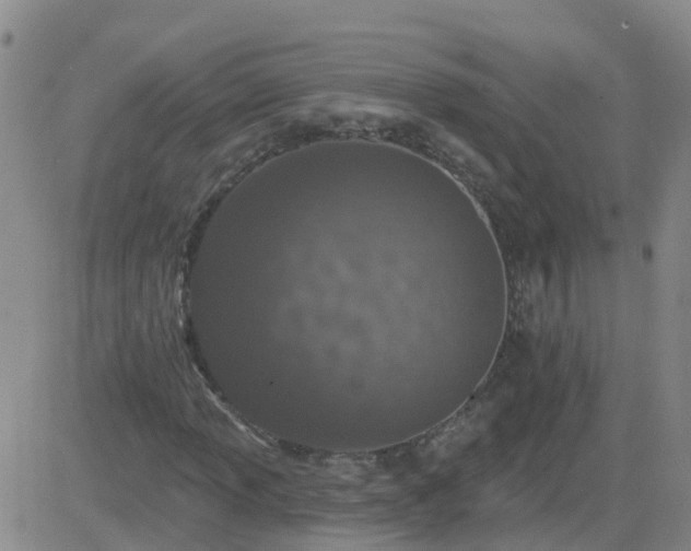 X0000083531013200702161907