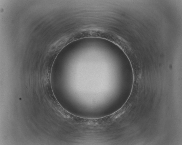 X0000083531014200702161907