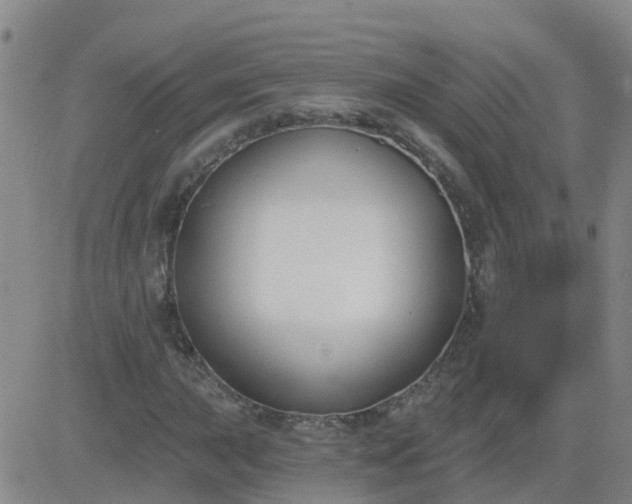 X0000083531015200702161907