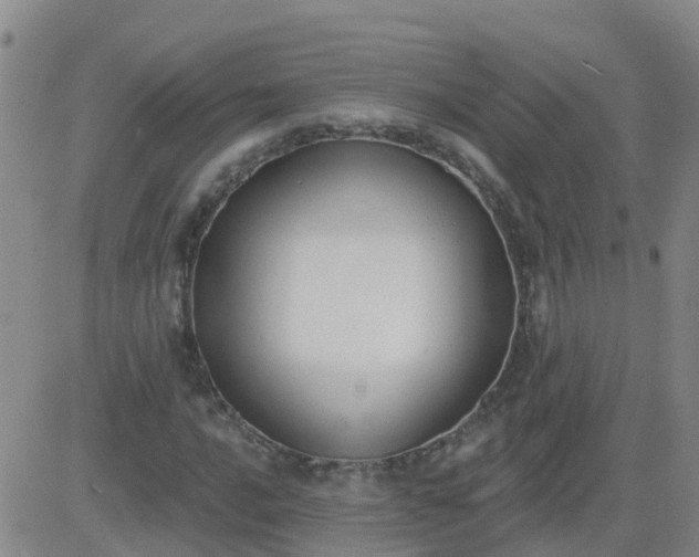 X0000083531016200702161907