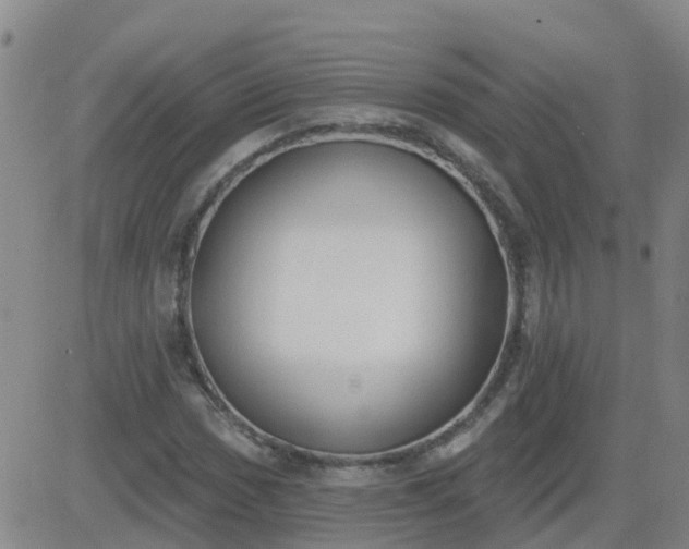 X0000083531017200702161907