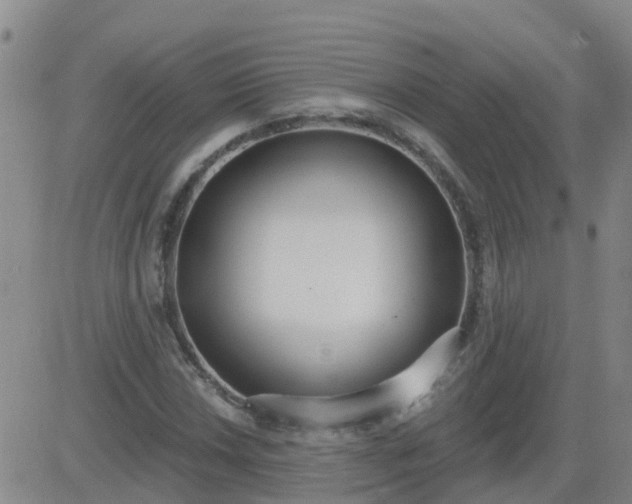 X0000083531018200702161907