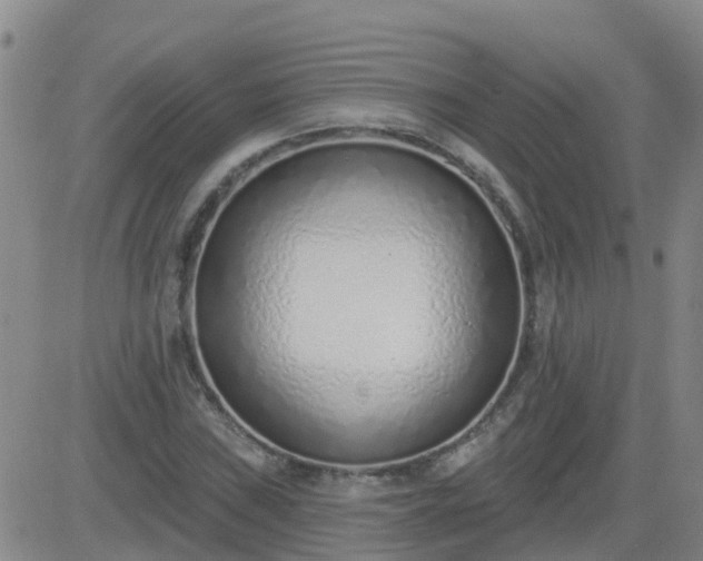 X0000083531019200702161907