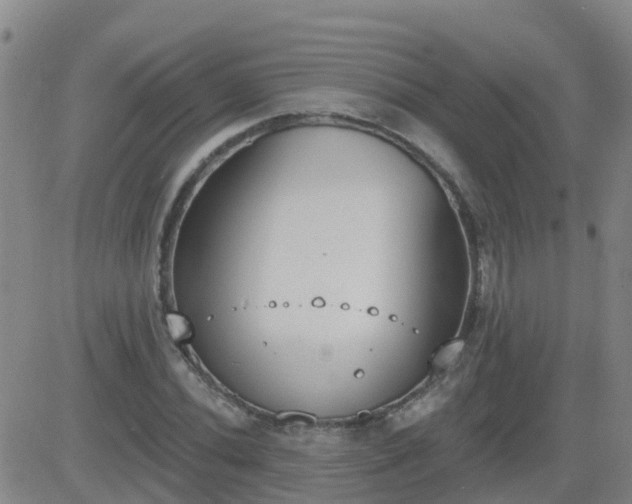 X0000083531020200702161907