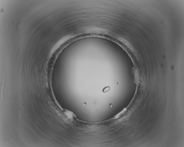 X0000083531022200702161907