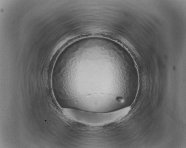 X0000083531023200702161907