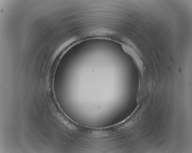 X0000083531026200702161907