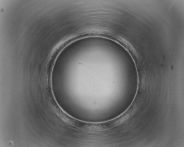 X0000083531027200702161907