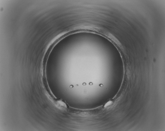 X0000083531028200702161907