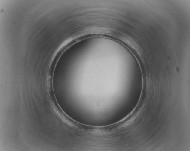 X0000083531029200702161907