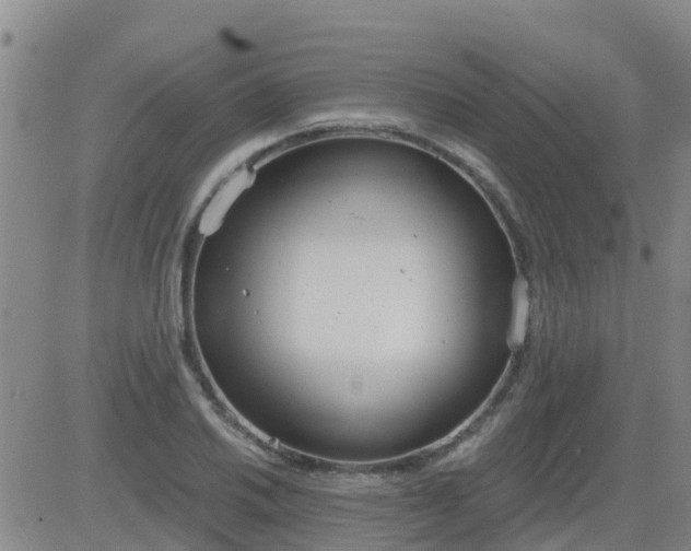 X0000083531030200702161907