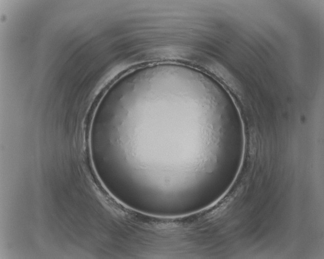 X0000083531031200702161907