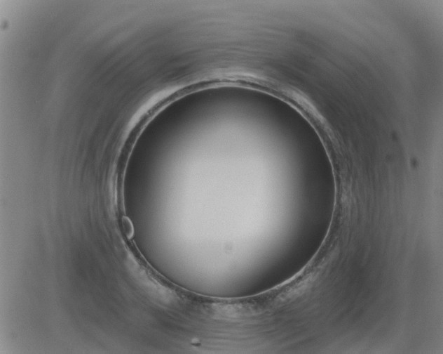 X0000083531032200702161907