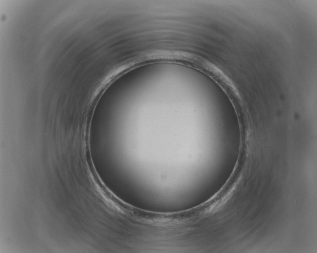 X0000083531033200702161907