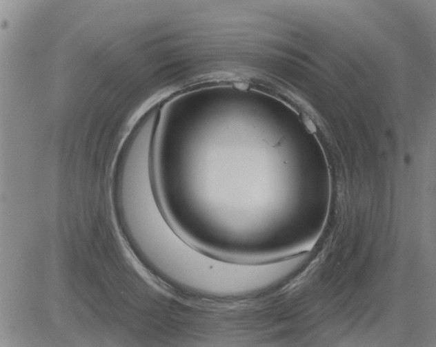 X0000083531034200702161907