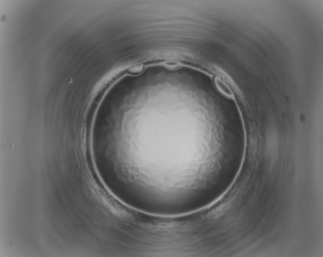 X0000083531035200702161907