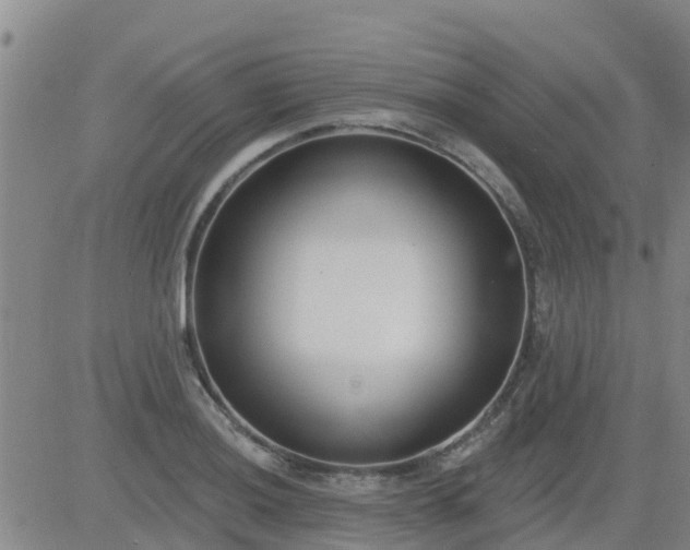 X0000083531036200702161907