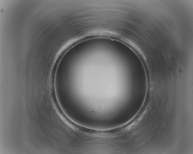 X0000083531037200702161907