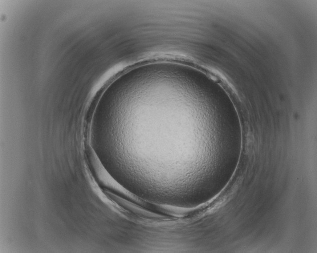 X0000083531038200702161907