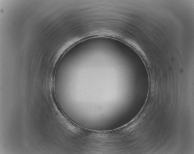 X0000083531040200702161907