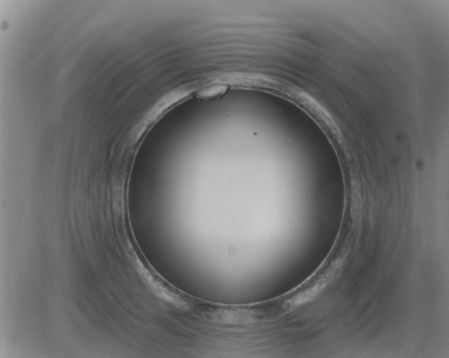 X0000083531041200702161907