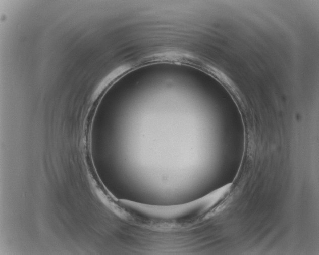 X0000083531042200702161907