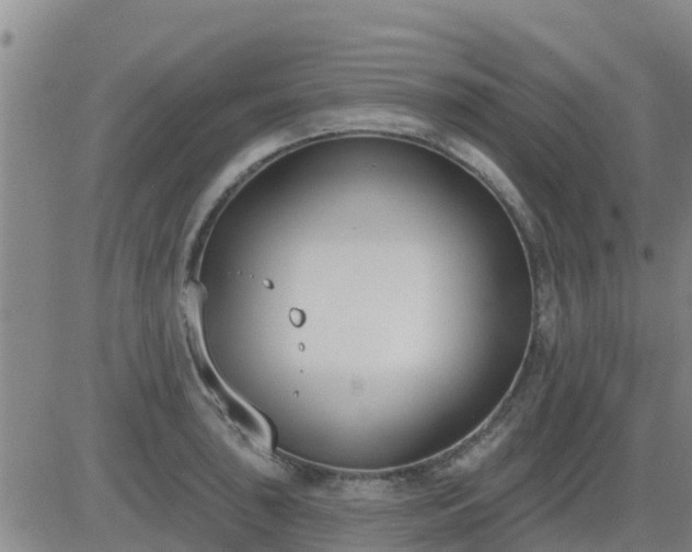 X0000083531043200702161907