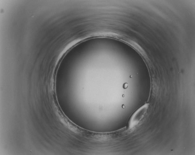 X0000083531044200702161907