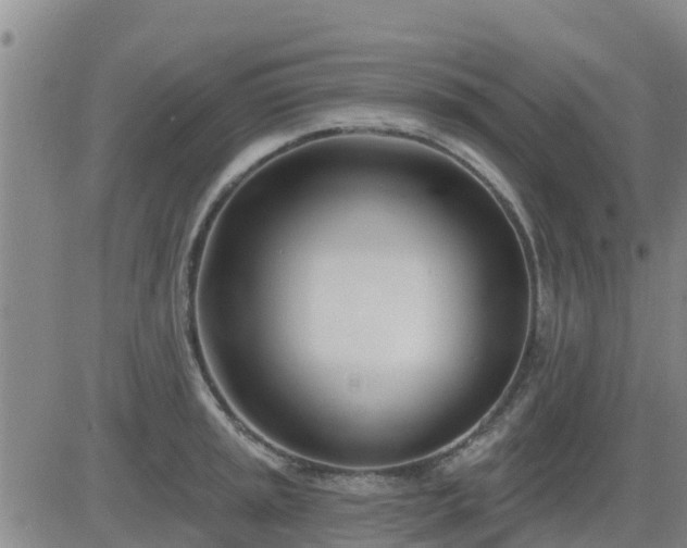 X0000083531045200702161907