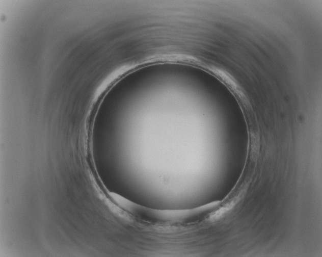 X0000083531046200702161907