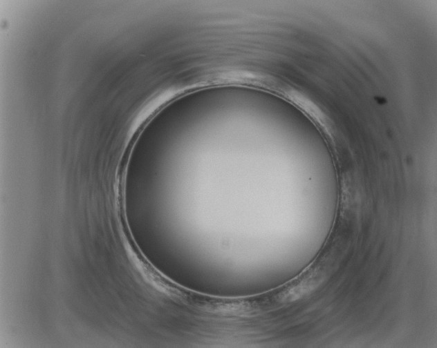 X0000083531047200702161907