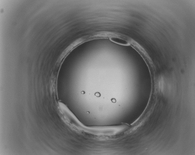 X0000083531049200702161907