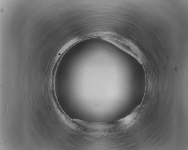 X0000083531050200702161907