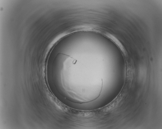 X0000083531051200702161907