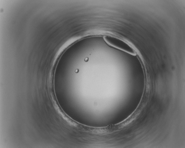 X0000083531053200702161907