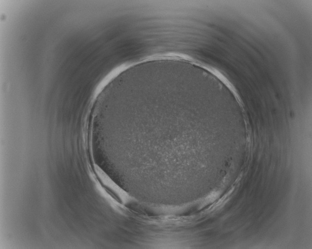 X0000083531054200702161907