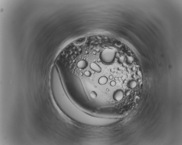 X0000083531055200702161907