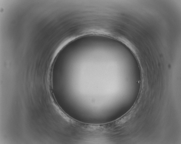 X0000083531056200702161907