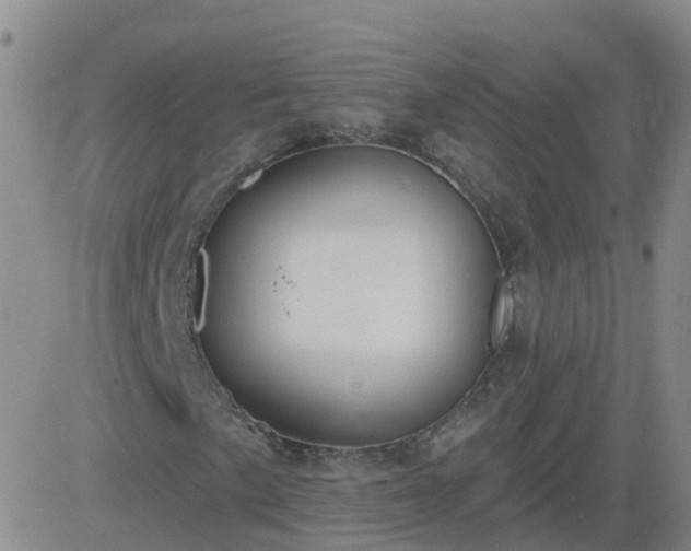 X0000083531057200702161907