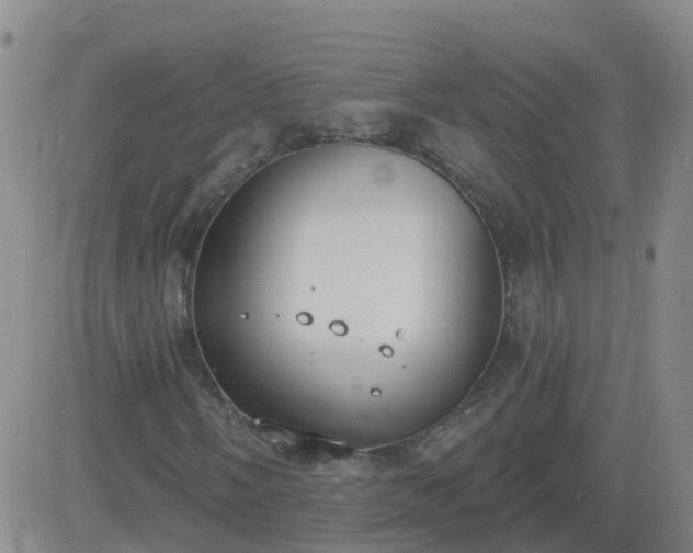 X0000083531058200702161907