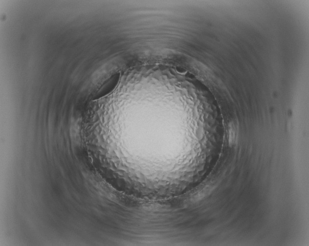 X0000083531059200702161907