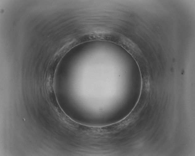 X0000083531060200702161907