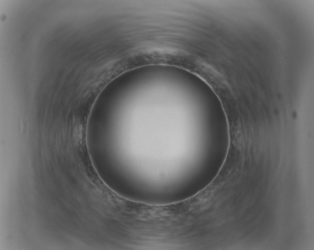 X0000083531061200702161907